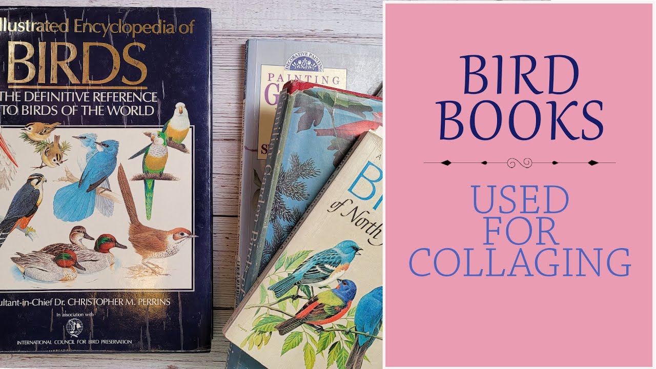 My Favorite Bird Books for Collaging - Bird Images To Use In Collage Art - Best Bird Books