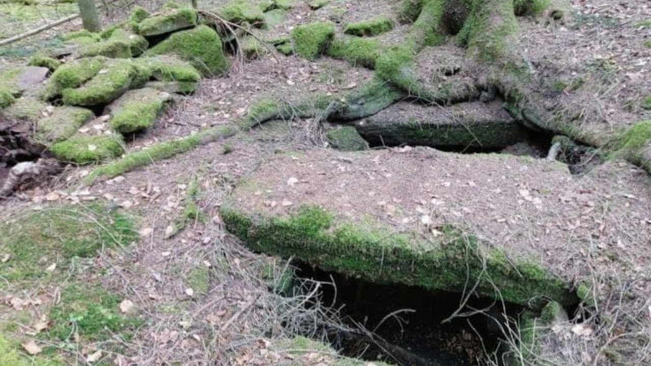 Das geheimnisvolle Brunnenheiligtum aus dem Schwarzwald