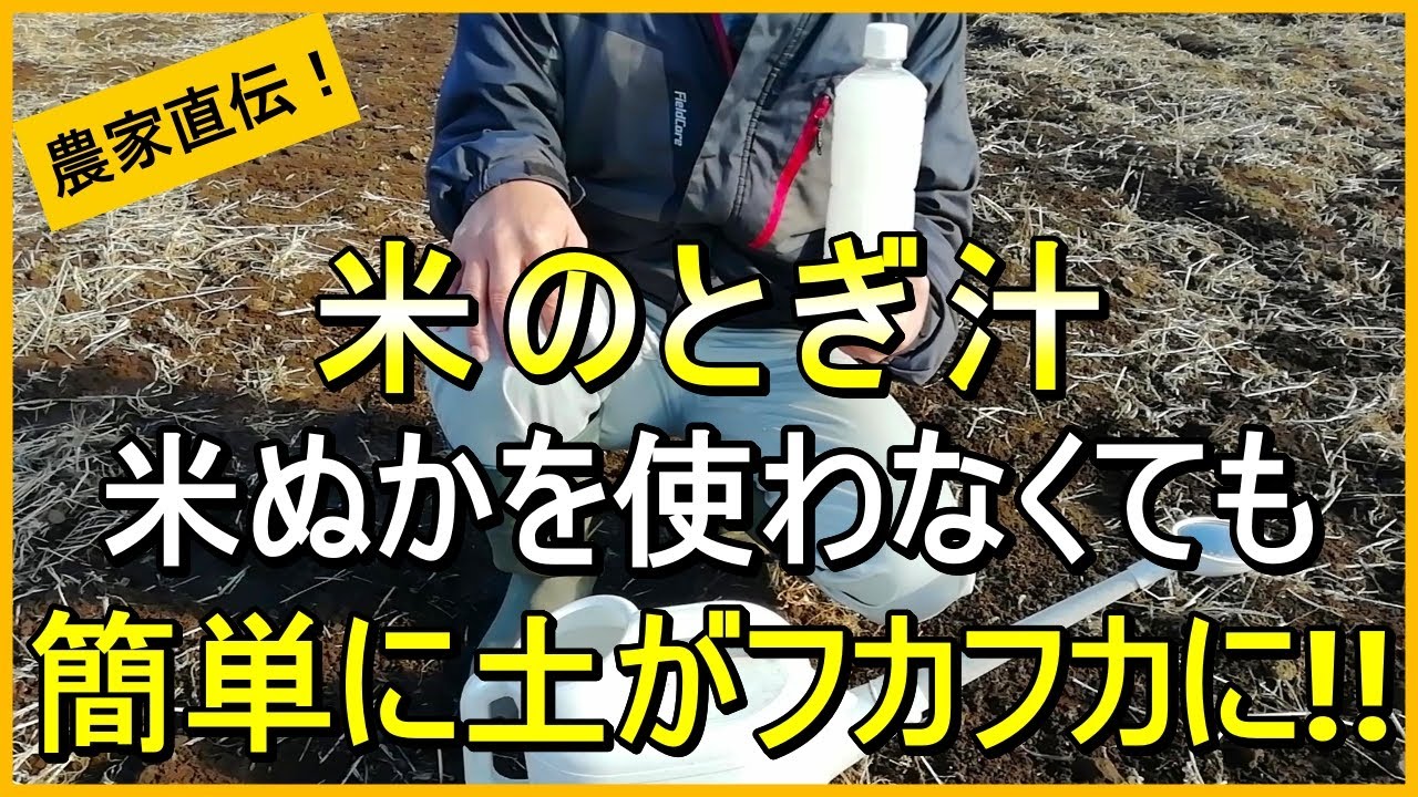 【米のとぎ汁】土作りは堆肥や米ぬかがなくてもタダでできます【有機農家直伝！無農薬で育てる家庭菜園】　25/12/25