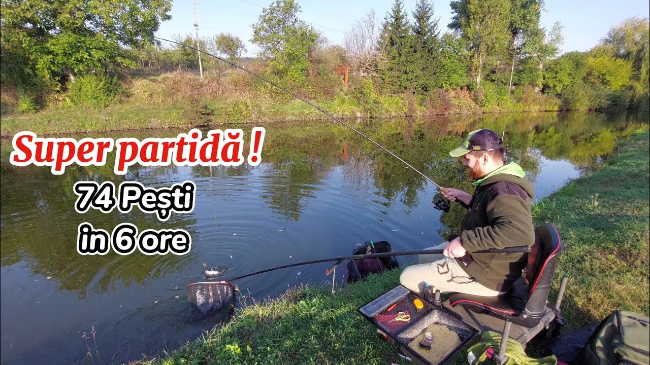 Pescuit la feeder Toamna cu Nadă fishmeal vs Cerealieră - Test intre nade cand vremea se schimbă !