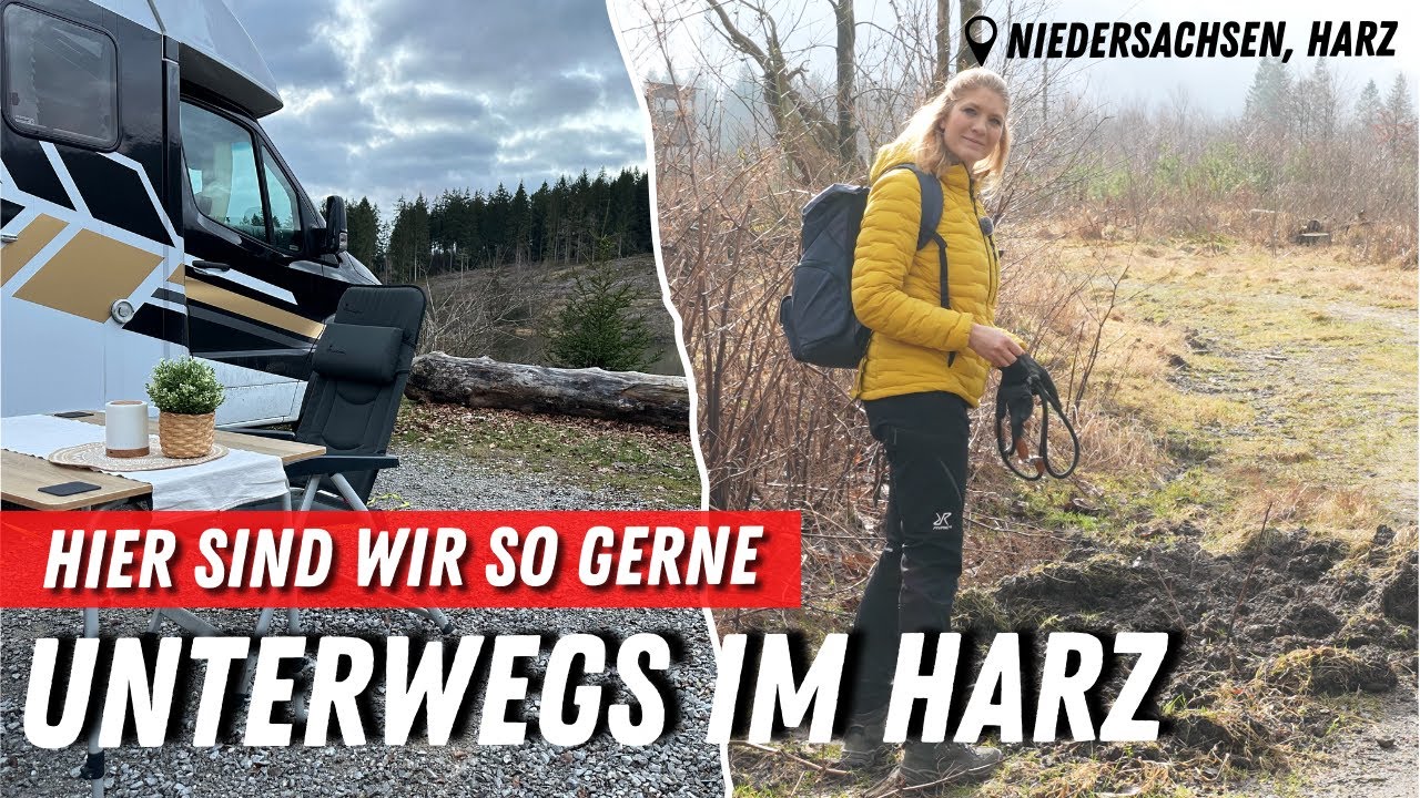 Wildschweinforschung im Harz 🐗 ❤️ Hier findet ihr Ruhe und Entspannung  ➡️ Camping Kreuzeck Harz