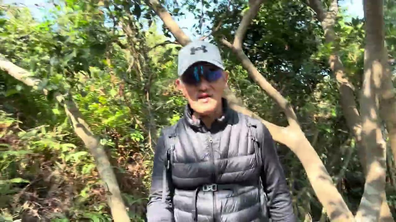 山中人：蚺蛇北脊-蚺蛇尖-蚺蛇南脊2026-01-03