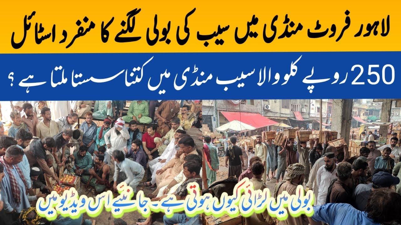 Lahore fruit mandi | Apple auction | IKL Pakistan