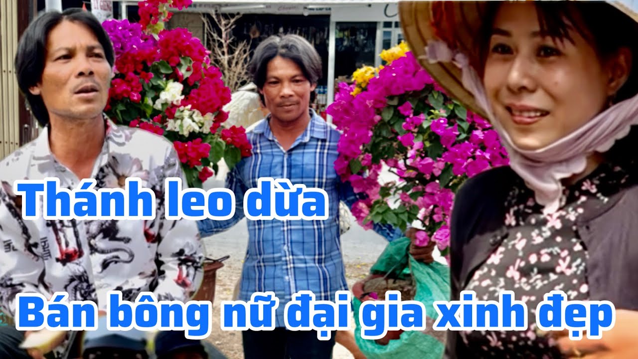 Thánh leo dừa bán hoa cùng nữ đại gia xinh đẹp chợ U Minh ￼