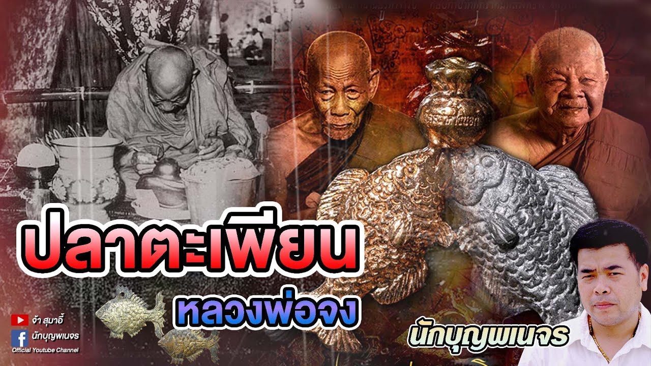 จ้าสุมาอี้ l ปลาตะเพียนหลวงพ่อจง วัดหน้าต่างนอก