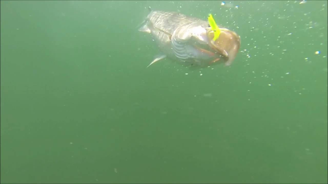 Best Bass Lure Ever (AmazingLure.com)  - The Amazing Flying Fishing Lure - Alex Langer