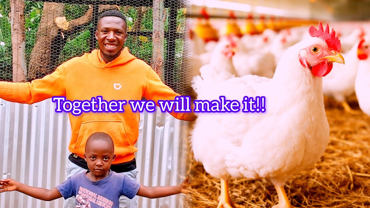 They Failed Us, But We Didn’t Fail Our Dream | How we are Building Our chickens house with My Wife