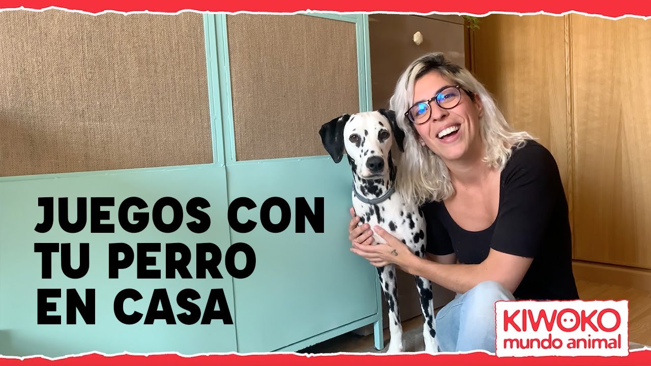 Cómo jugar con tu perro en casa: Juegos para perros ⚽🐶