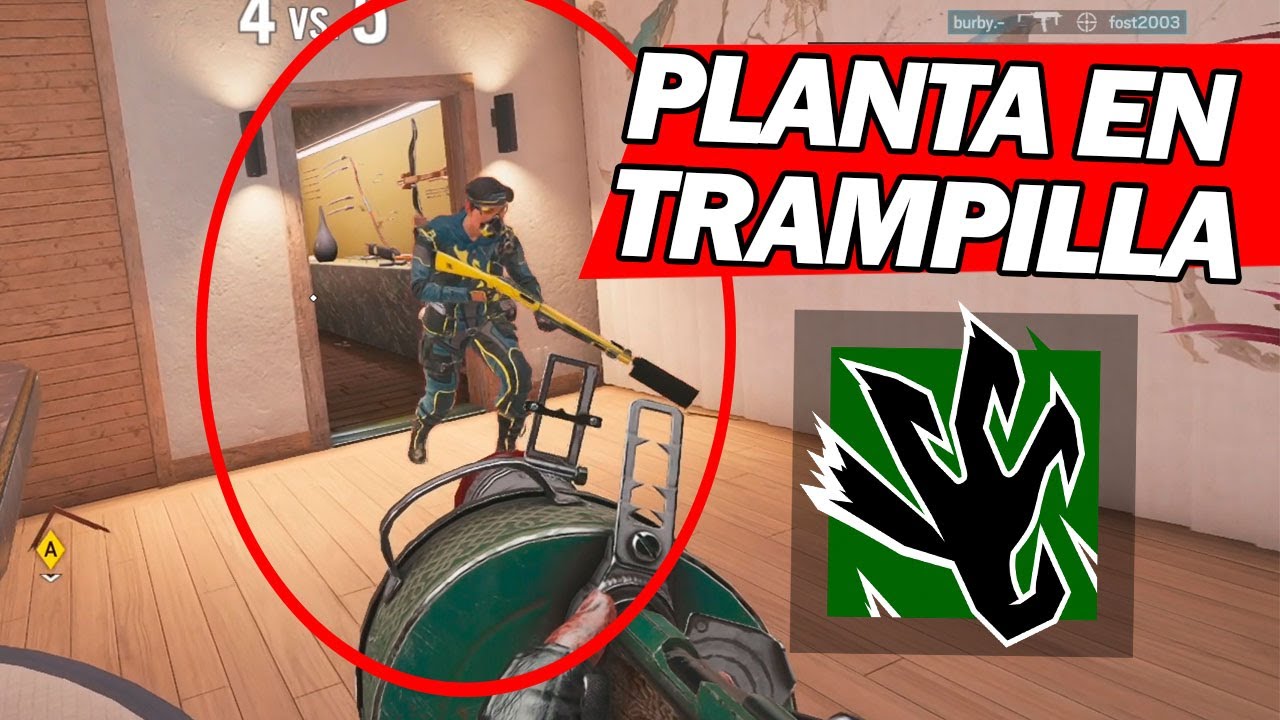 PLANTA EN LA HATCH | MIWELL