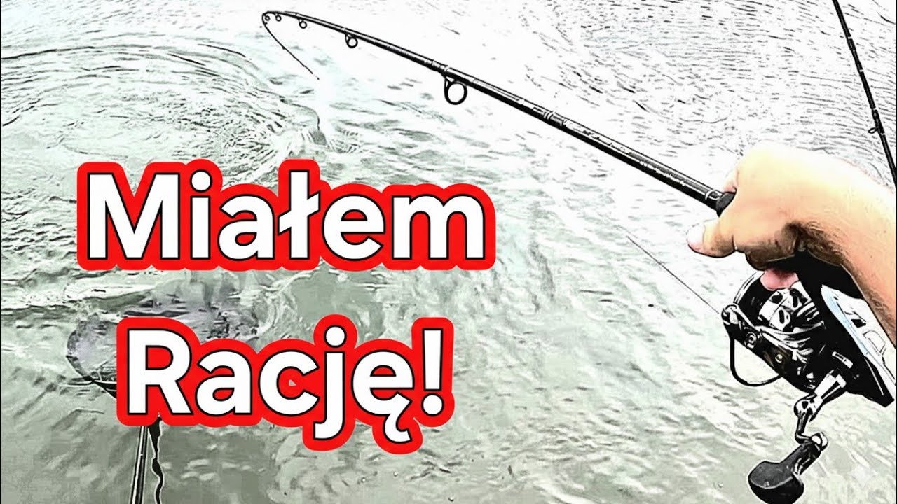 Jednak Miałem Rację! Siedziały głęboko! Zimny Method Feeder! Wędkarstwo feederowe