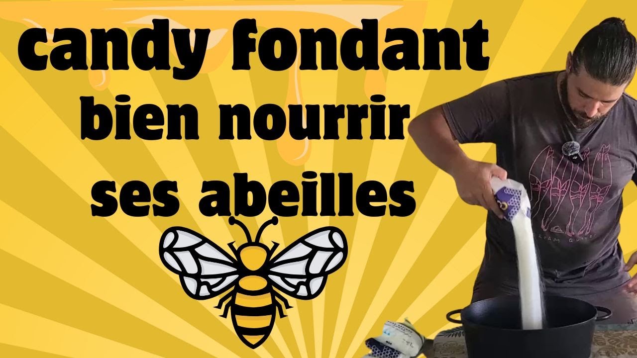 Faire du Candy fondant pour bien nourrir ses abeilles (recette simple et rapide) | Apiculture |
