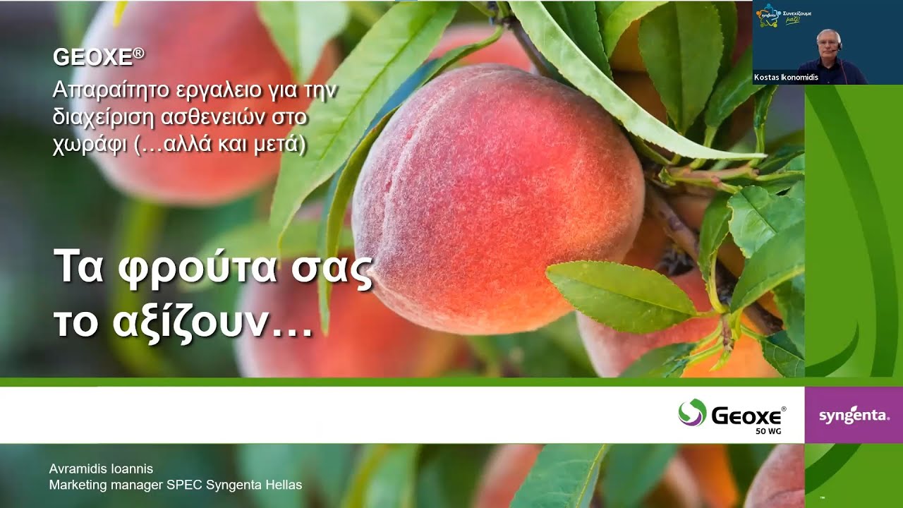 Geoxe - Με τη δύναμη του Fludioxonil στο FVC