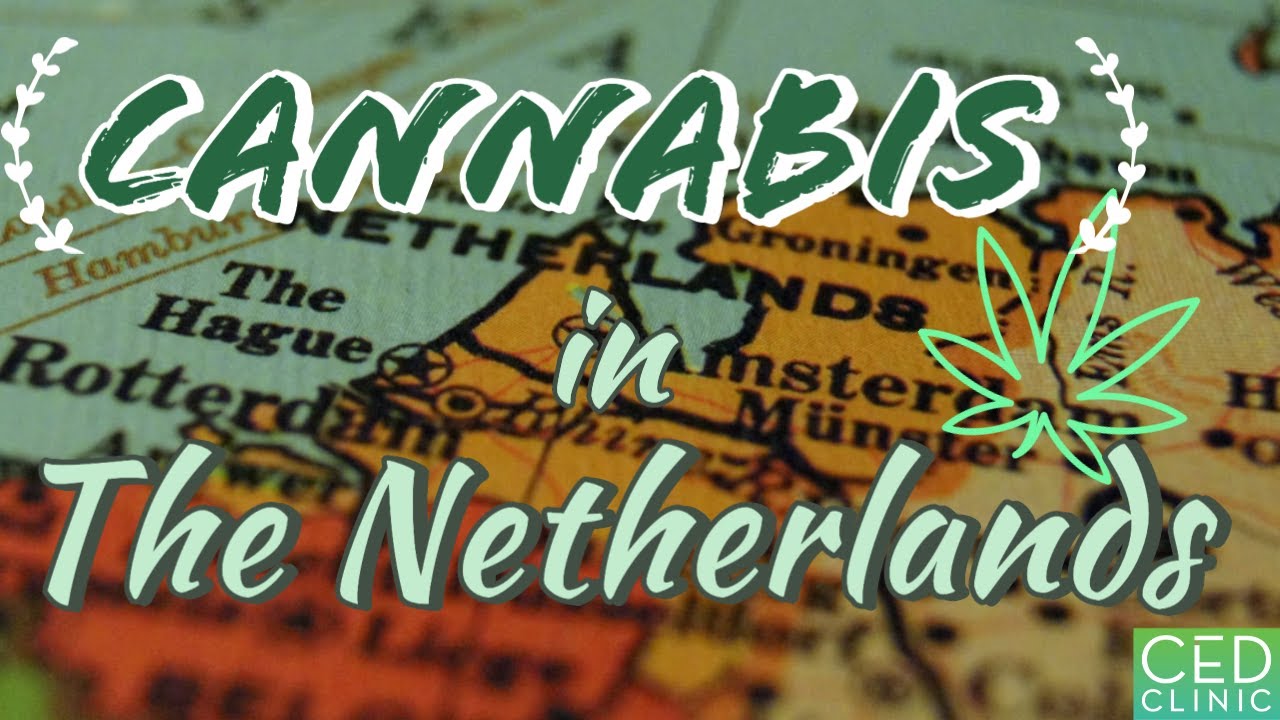 Cannabis in The Netherlands