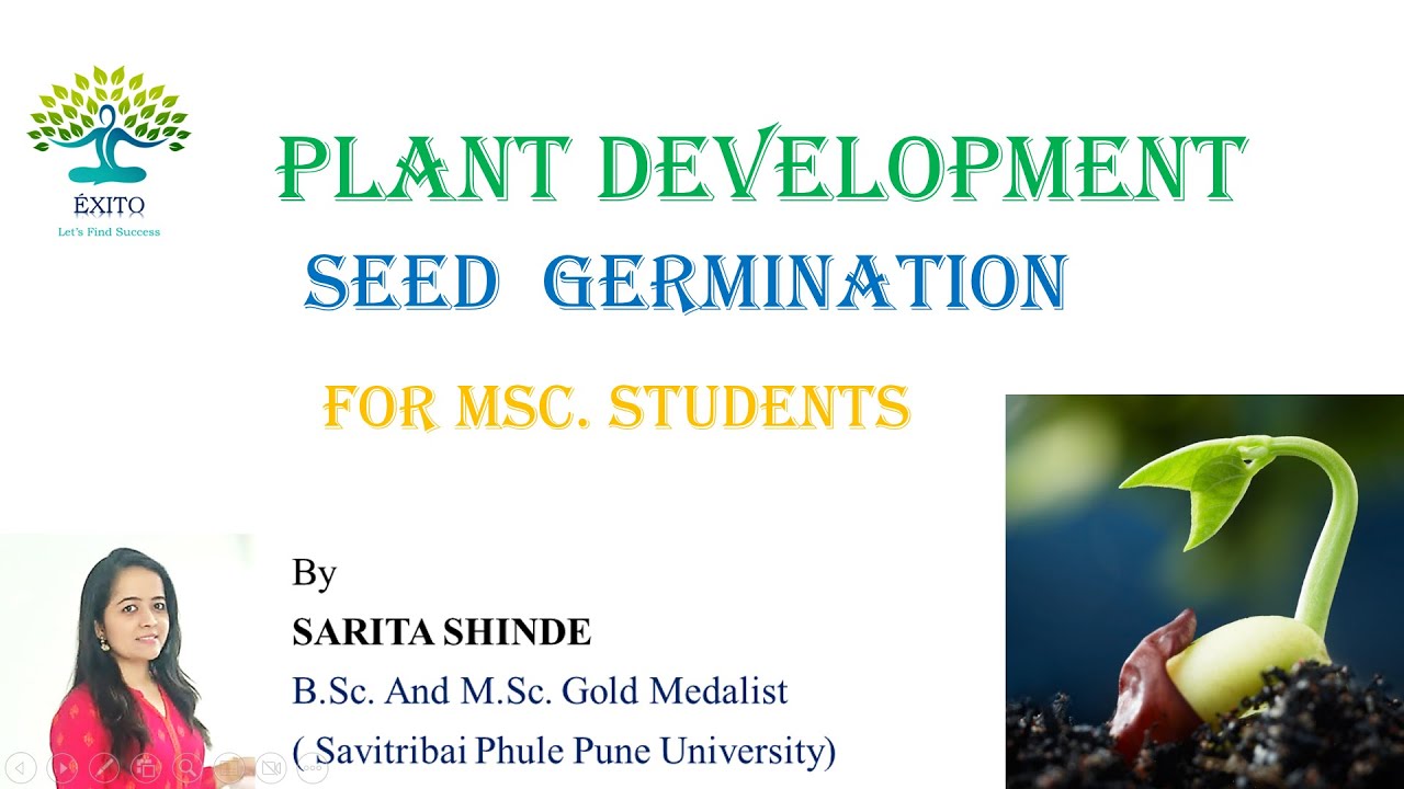 Seed Germination (Plant Development Biology)