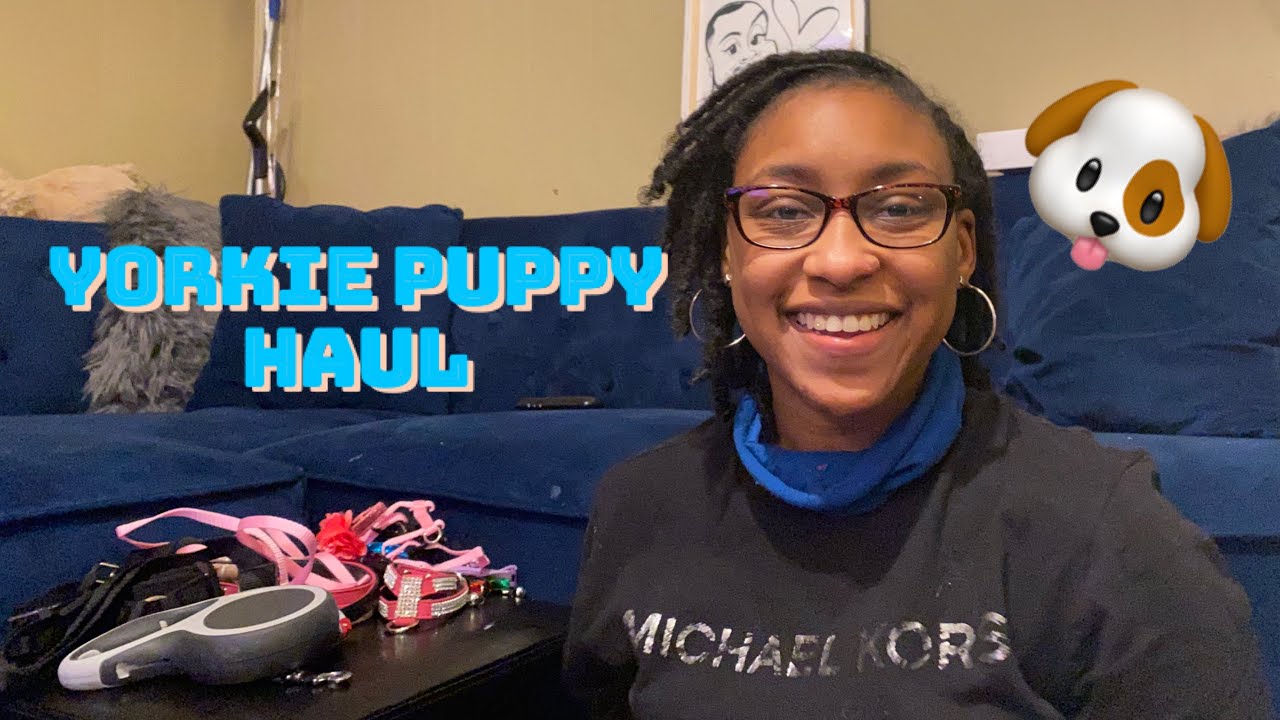 YORKIE PUPPY HAUL || WHAT YOU REALLY MIGHT NEED + STORYTIME 😇