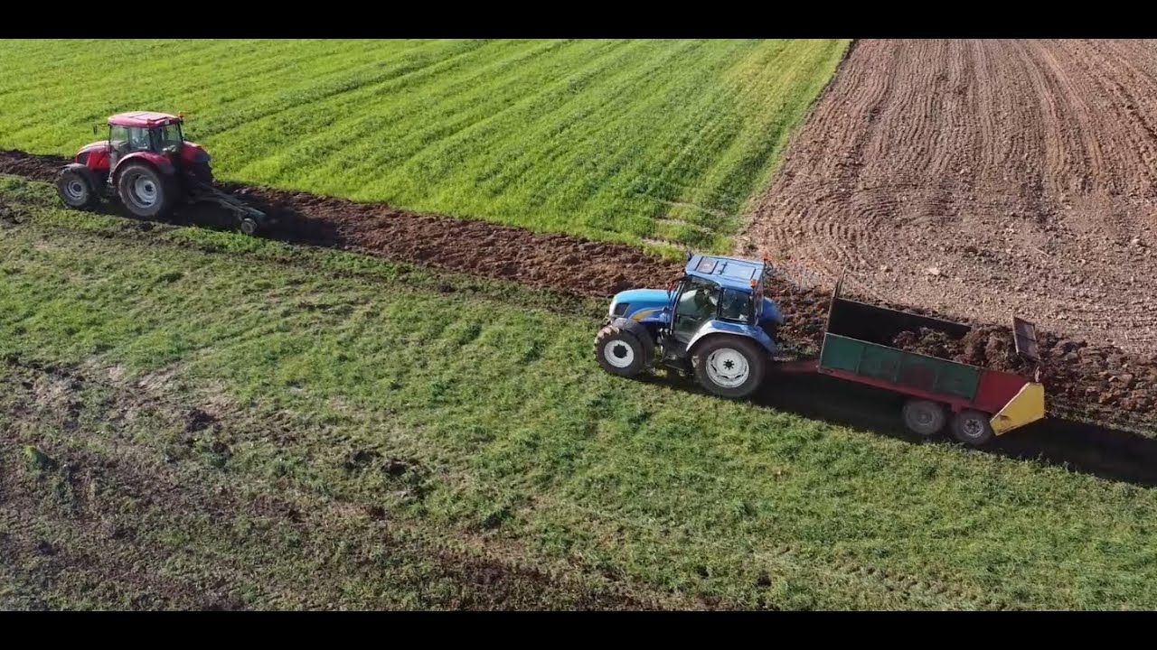 NOWY NABYTEK 2023! New Holland  T5060 vs 2 Zetory🔥Obornik i Orka 2023!🔥