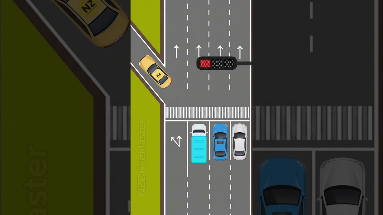 Beginner Driver Mistake ✅🚦 Not Knowing the Signal Rules | NZDriveMaster