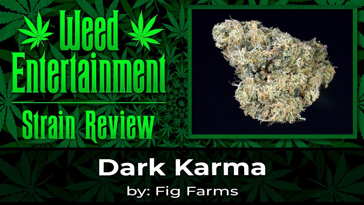 Dark Karma - by Fig Farms - Review - March 2024