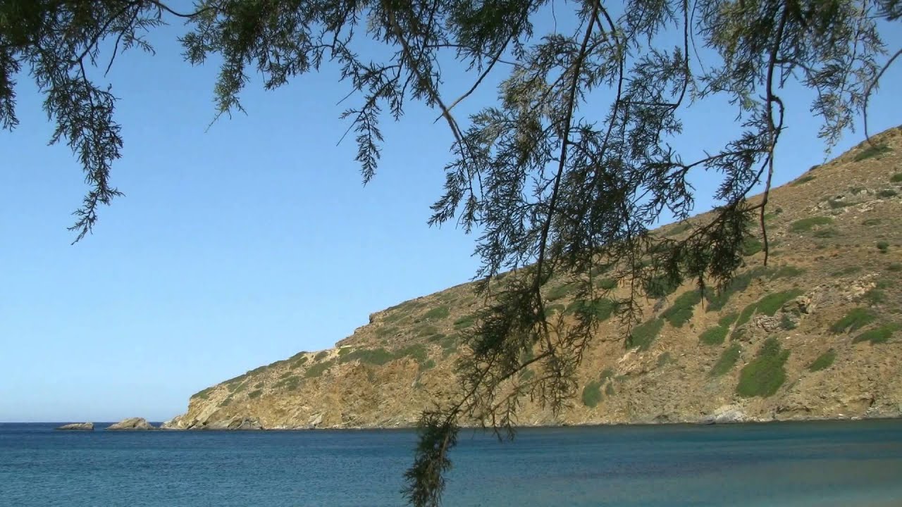 Άνδρος
