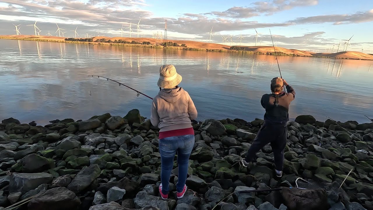 Striper Fishing the POPULAR Sherman Island! Delta by the Bay!!