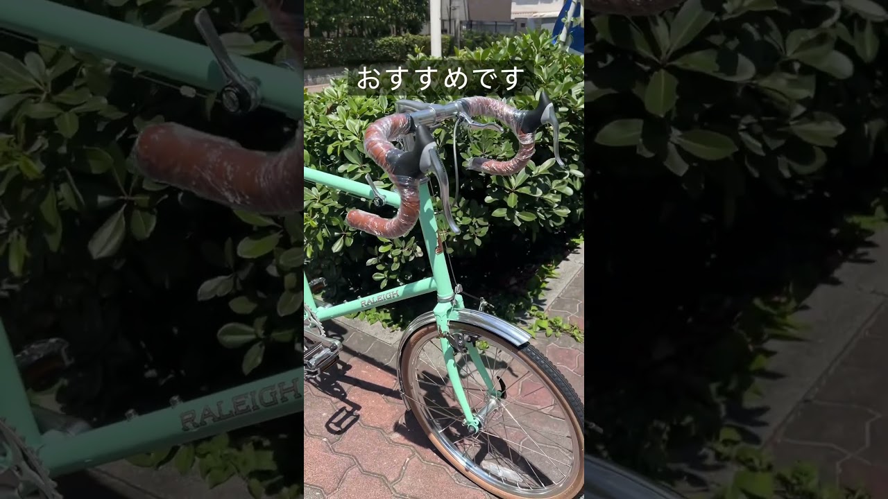 ミニベロで快適にツーリングしたいならアラヤ RSW SPECIAL。ロードバイクスタイル。【カンザキ/エバチャンネル】