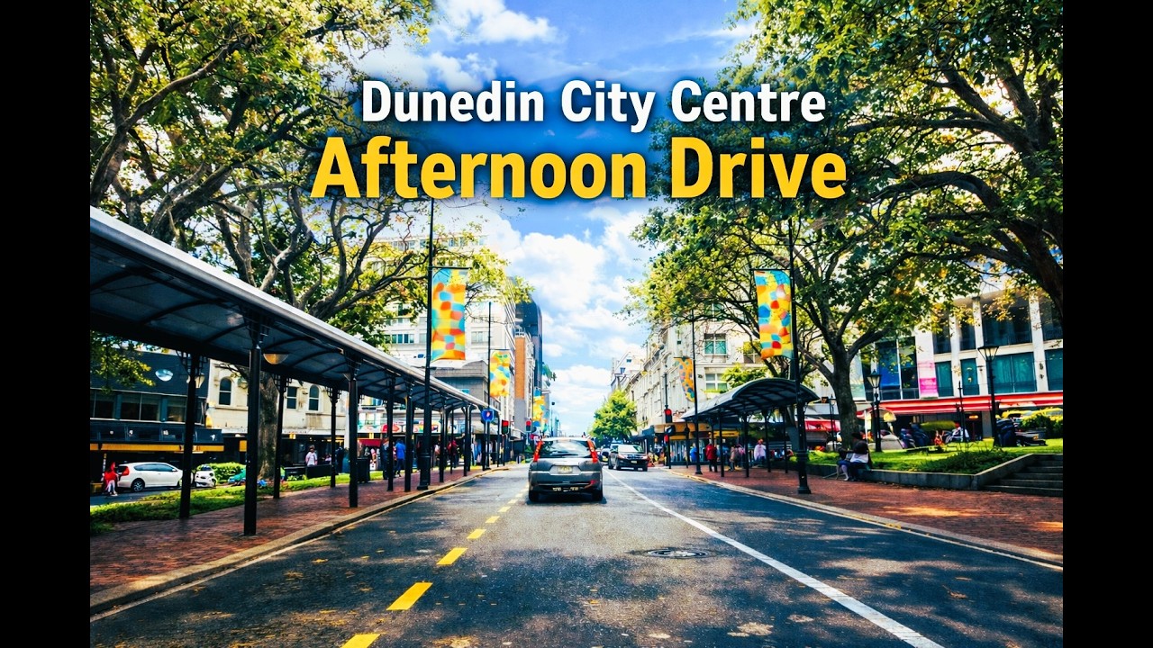 Dunedin City Centre Drive | Cloudy Afternoon in New Zealand