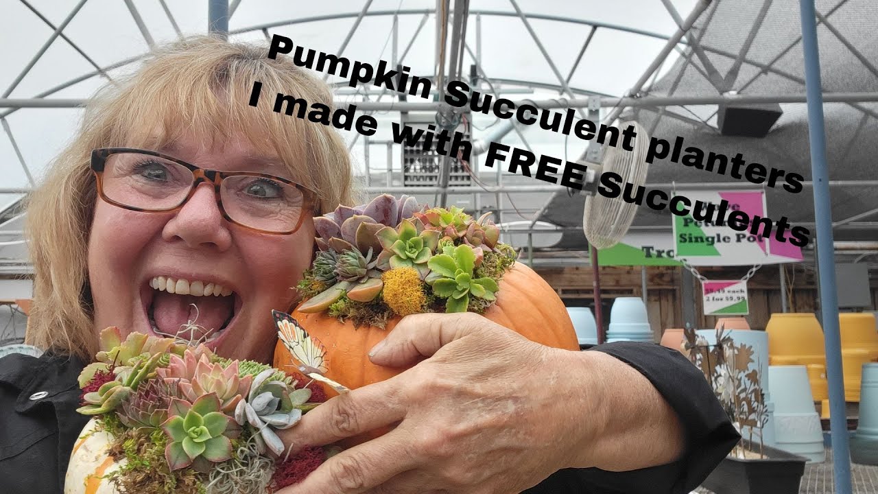 Propagating Succulents & Making Pumpkin Succulent Planters