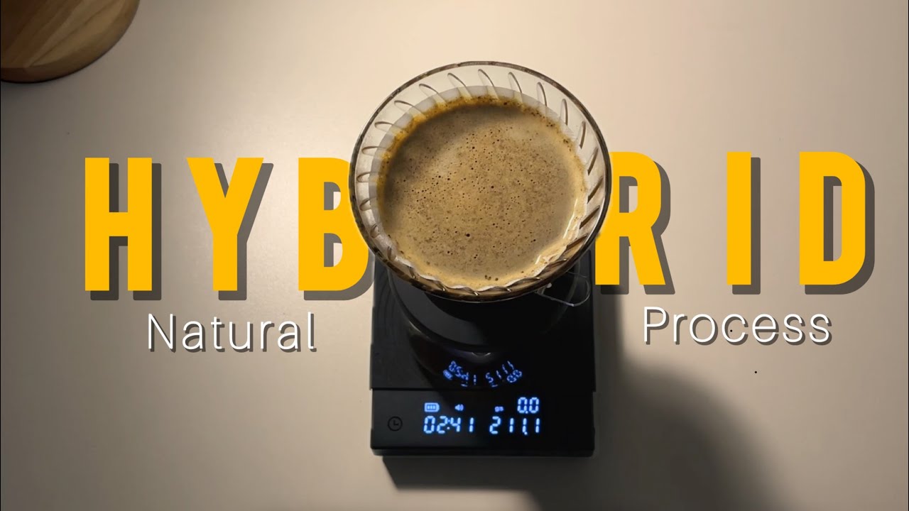 An Easy Hario Switch Hybrid Method to Brew Natural Processed Coffee - Chemicoffea's Signature