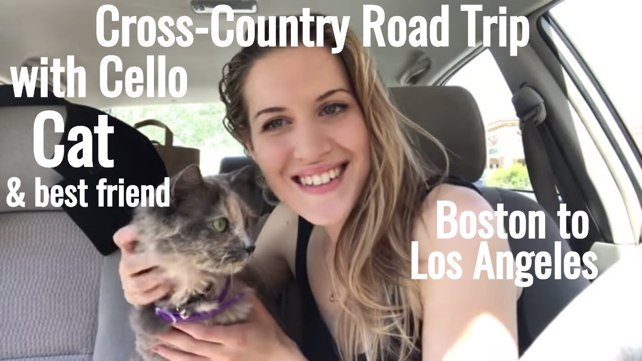 Cross-Country Road Trip Part 2 (with cat) Moving from Boston to Los Angeles - EmilyPlaysCello