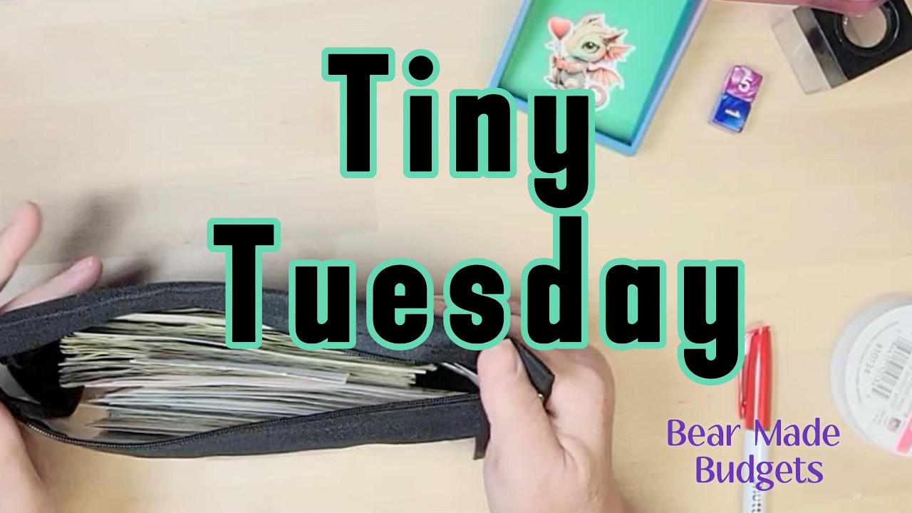 Tiny Tuesday Feb 17 2026 #tinytuesday #savingschallenges #cashstuffing