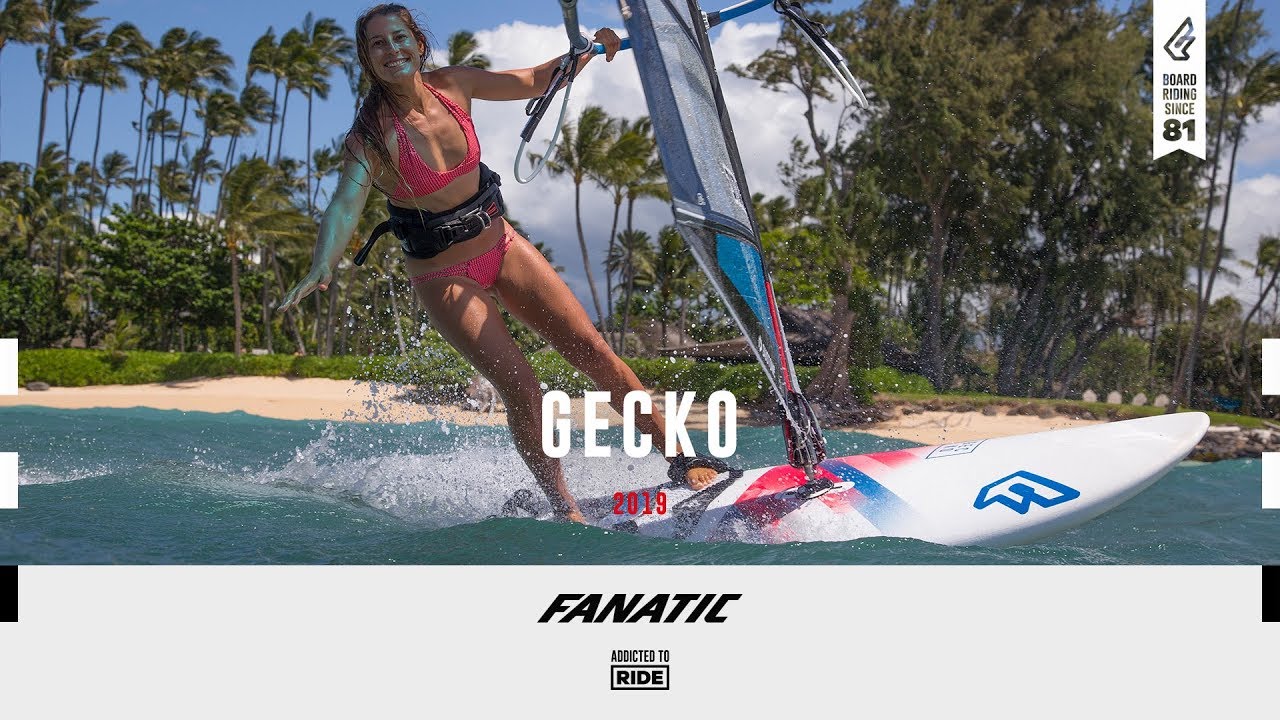 Fanatic Gecko 2019