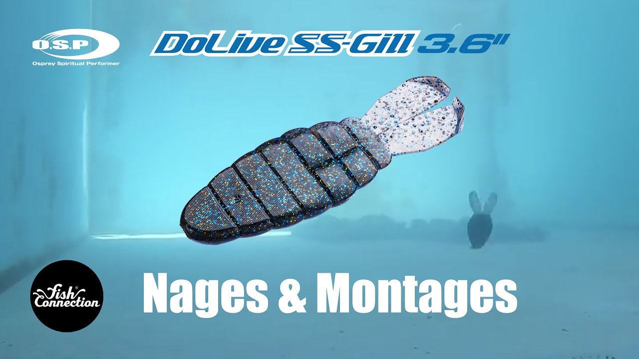 Présentation du Dolive SS Gill de chez O.S.P