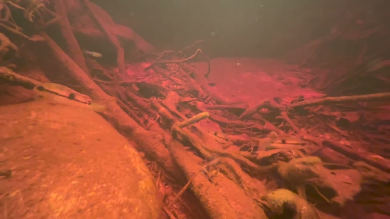 Red water, Red Tails