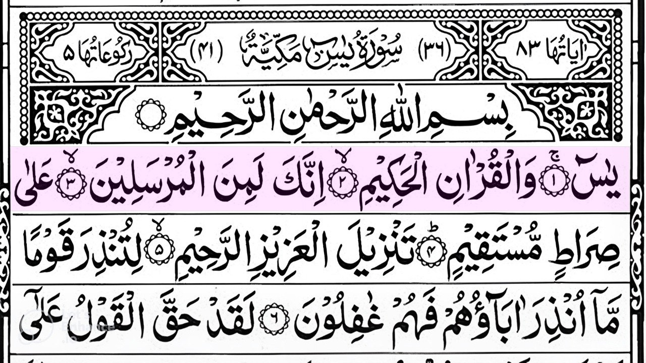 Surah Yaseen Surah Ar Rahman | Best Quran Recitation | Surah Yasin Tilawat | Episode_002