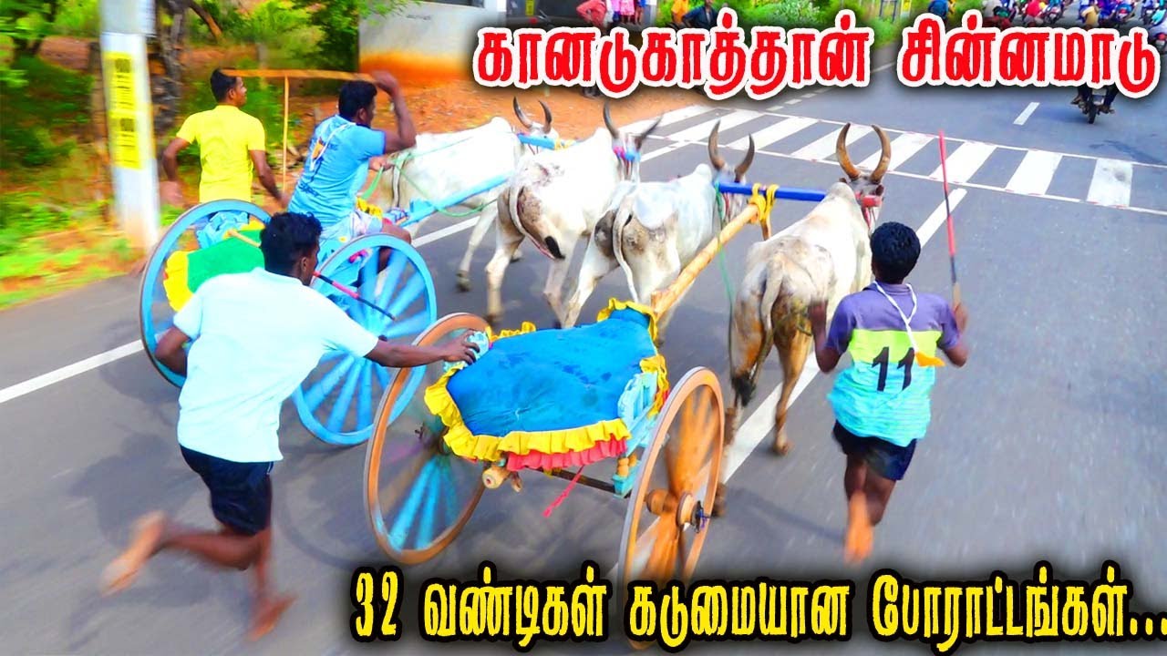 கானாடுகாத்தான் 2 சின்னமாடு பந்தயம் 17.06.2023