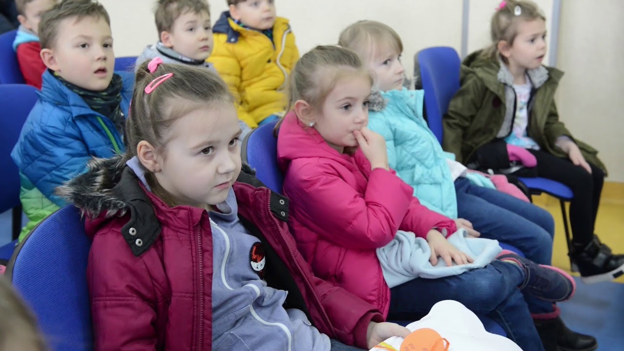 Pies policyjny na emeryturze