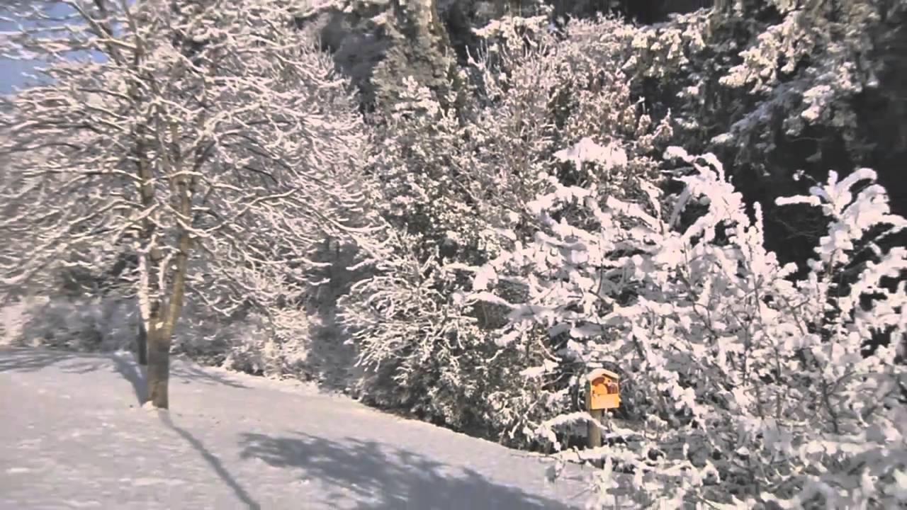 Winter Conditions, Cavan, Ireland December
