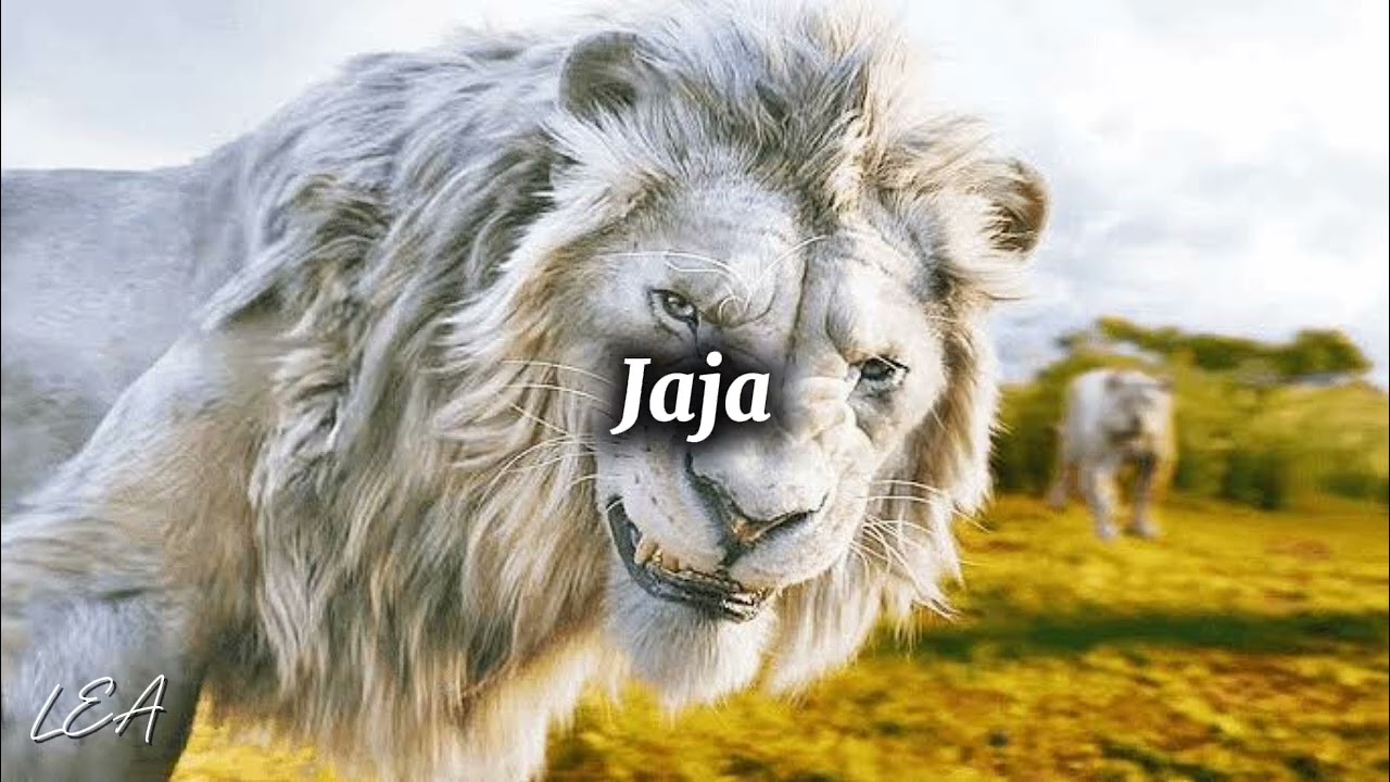 ADIÓS, BYE BYE · Rene Garcia · Lorena Vignau · Paloma Cordero - MUFASA: EL REY LEÓN