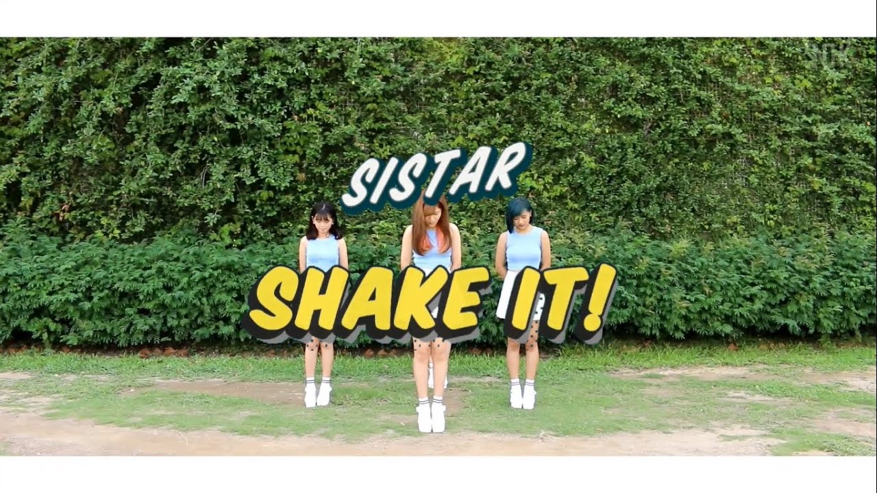 Sistar(씨스타) - Shake it(쉐이크 잇) Dance Cover by SNDHK