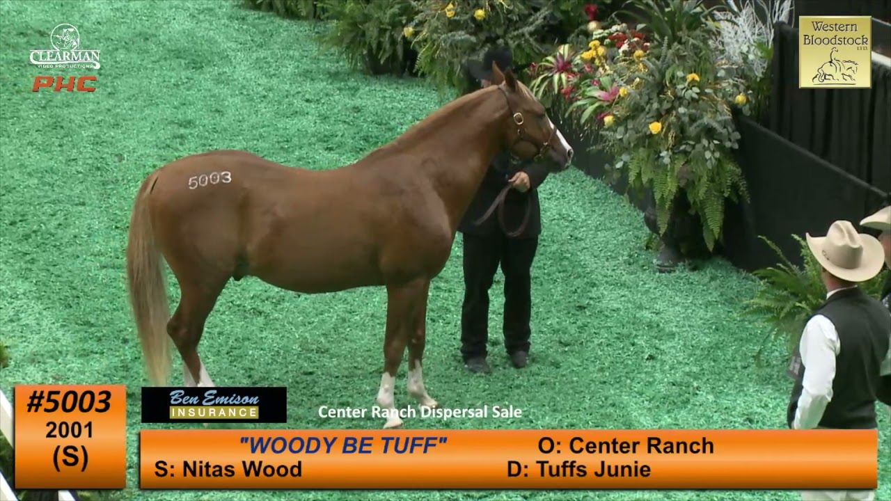 Woody Be Tuff Sells for $1.3Mill at Western Bloodstock NCHA Futurity Sales