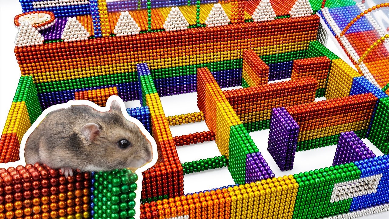 DIY - Build Amazing Maze Labyrinth For Hamster Pet With Magnetic Balls (Satisfying) - Magnet Balls