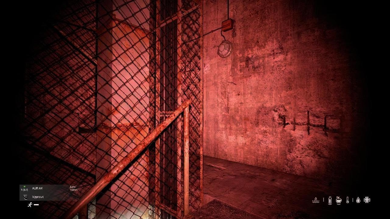 Dayz bunkr Livonie oficiální server (PS5)