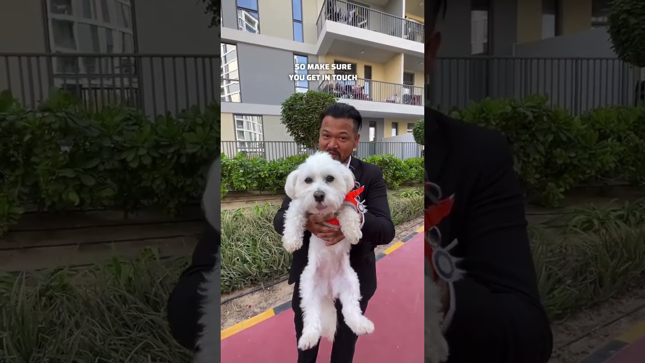 Pet friendly communities in Dubai 🐶🇦🇪 #shorts