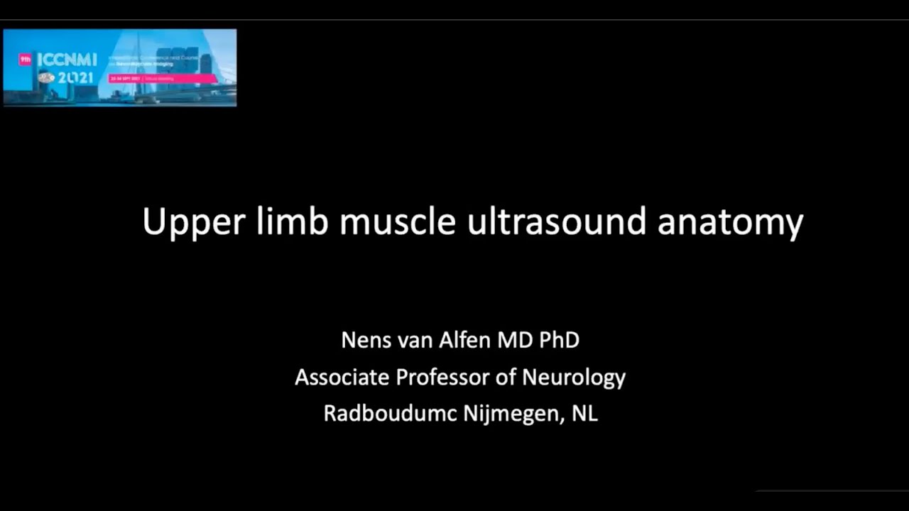 ICCNMI 2021 Upper limb muscle ultrasound anatomy