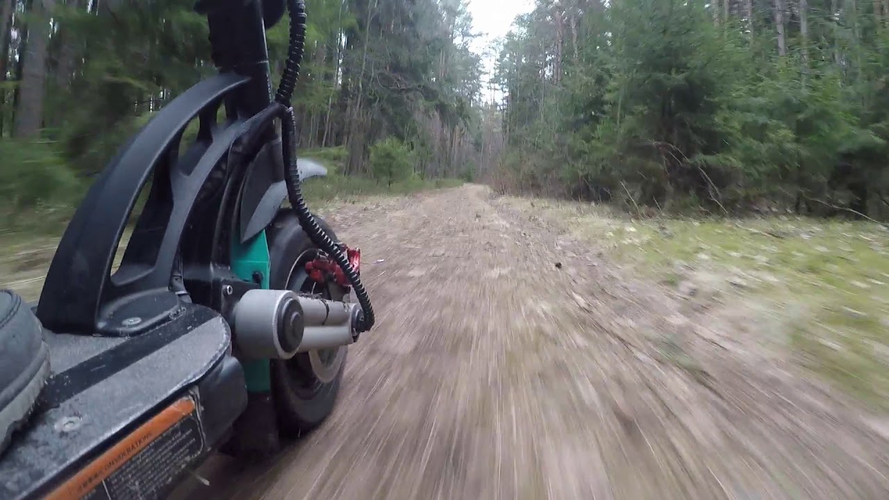 Kugoo G-Booster в лесу