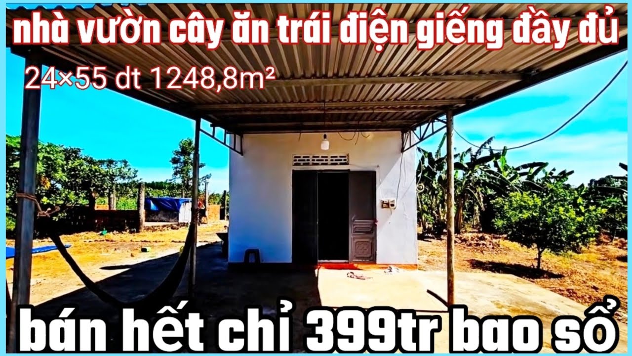 Nhà vườn trái cây đường ô tô 24×53×55 dt 1.248,8m² cln bán hết giá 399tr bao sổ 