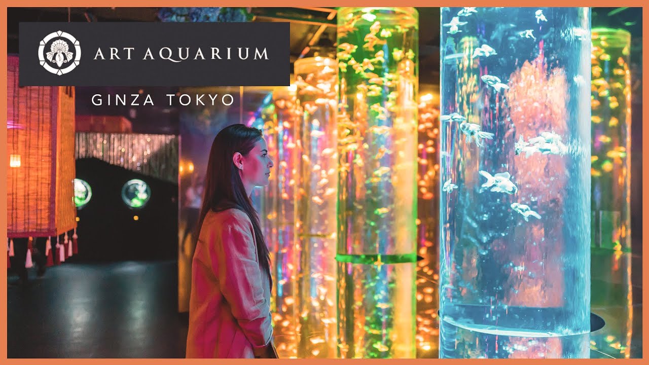 Обзор музея Art Aquarium в Гинзе, Токио