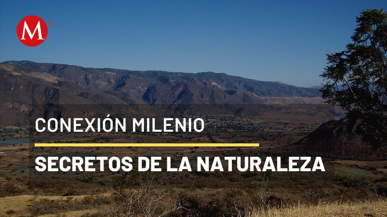 Así es la Sierra de Álica en Nayarit | Conexión Milenio