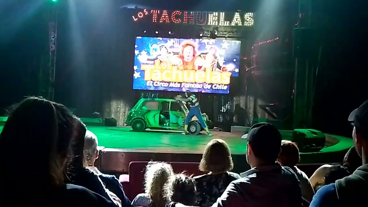 tachuela jr. (auto loco) viña del mar