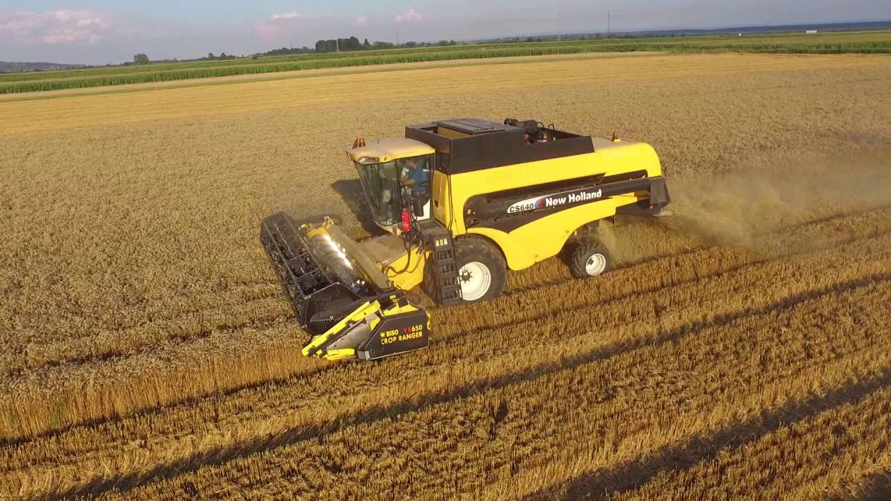 New Holland CS 640 + CX 840 - Žetva pšenice 2016.
